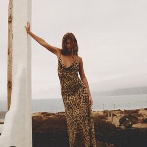 Zara cheetah maxi dress